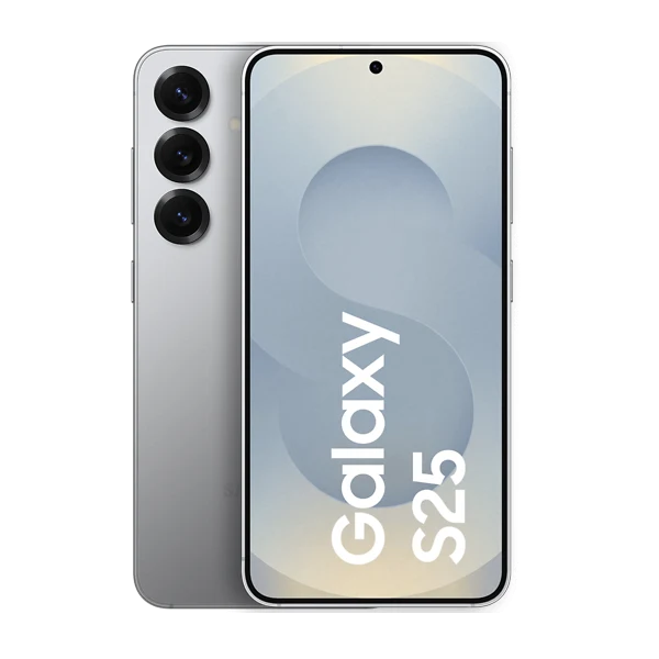 Samsung S25 Reparatur